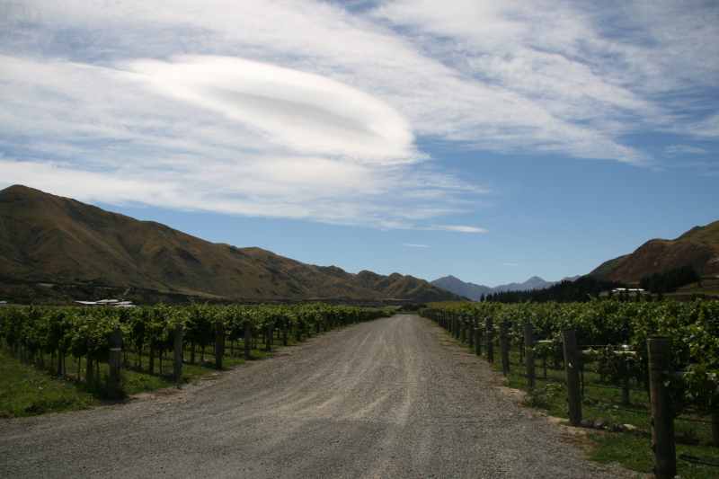 Nieuw-Zeeland 2011 - 1282